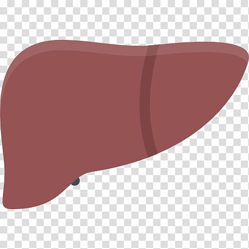 Computer Icons Liver, liver transparent background PNG clipart