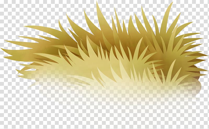 Drawing Grass , Pretty cartoon grass transparent background PNG clipart