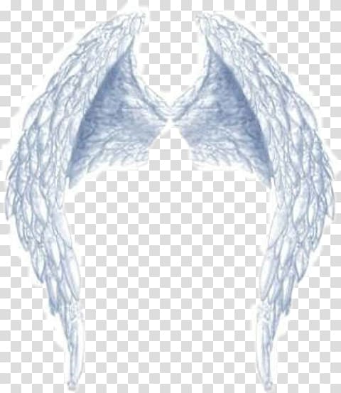 PicsArt Studio Wing GIF Portable Network Graphics, angel wings and halo transparent background PNG clipart