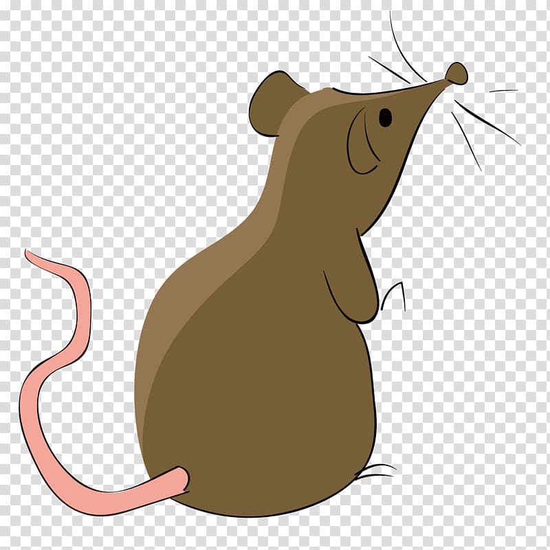 Rat Computer mouse Euclidean , Mouse transparent background PNG clipart