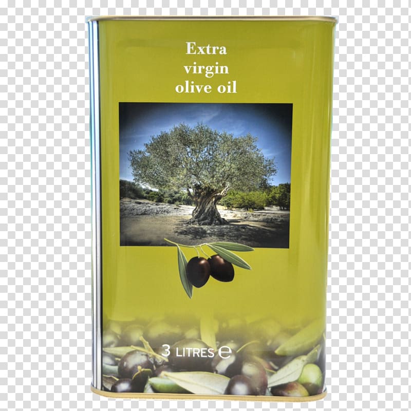 Olive oil Saturated fat Archiwum Allegro Calorie, olive oil transparent background PNG clipart