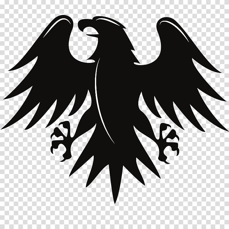 Bald Eagle , imperial transparent background PNG clipart