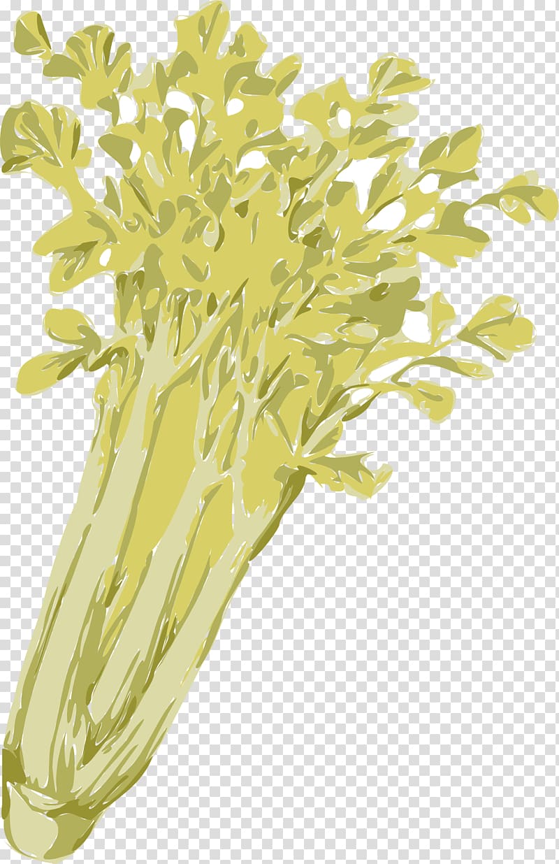 Celery , Celery transparent background PNG clipart