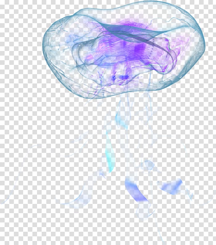 clear and purple jellyfish, Nomura\'s jellyfish Aurelia aurita Marine invertebrates, jellyfish transparent background PNG clipart