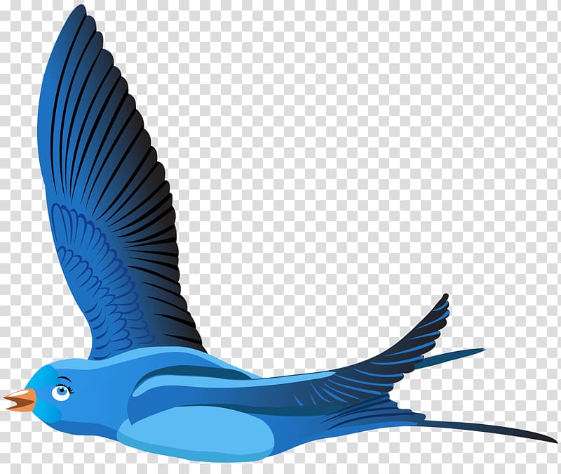 blue bird , Bird Cartoon , Blue Bird Cartoon transparent background PNG clipart