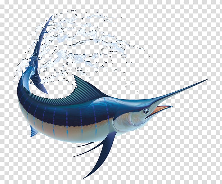 Marlin fishing Atlantic blue marlin, Fishing transparent background PNG clipart