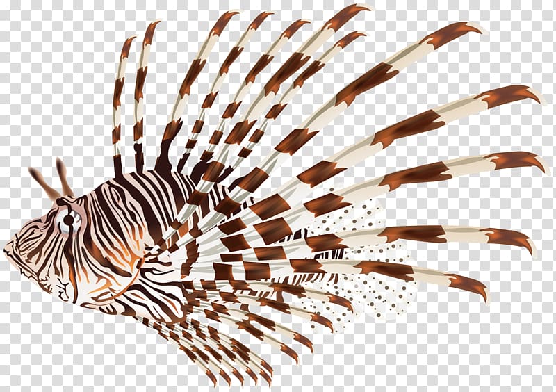 Lionfish , others transparent background PNG clipart