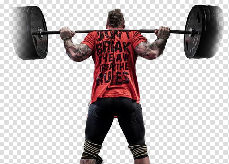 Barbell Weight training Shoulder, rule of law transparent background PNG clipart