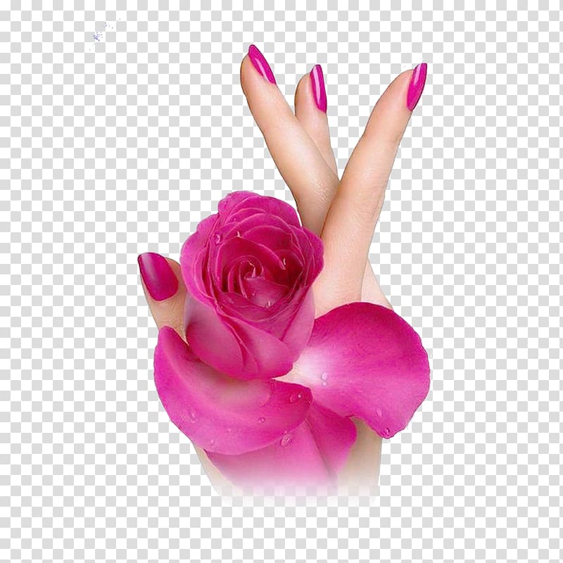 person holding pink rose, Cosmetics Upper limb Nail polish Flower, Nail cosmetics transparent background PNG clipart