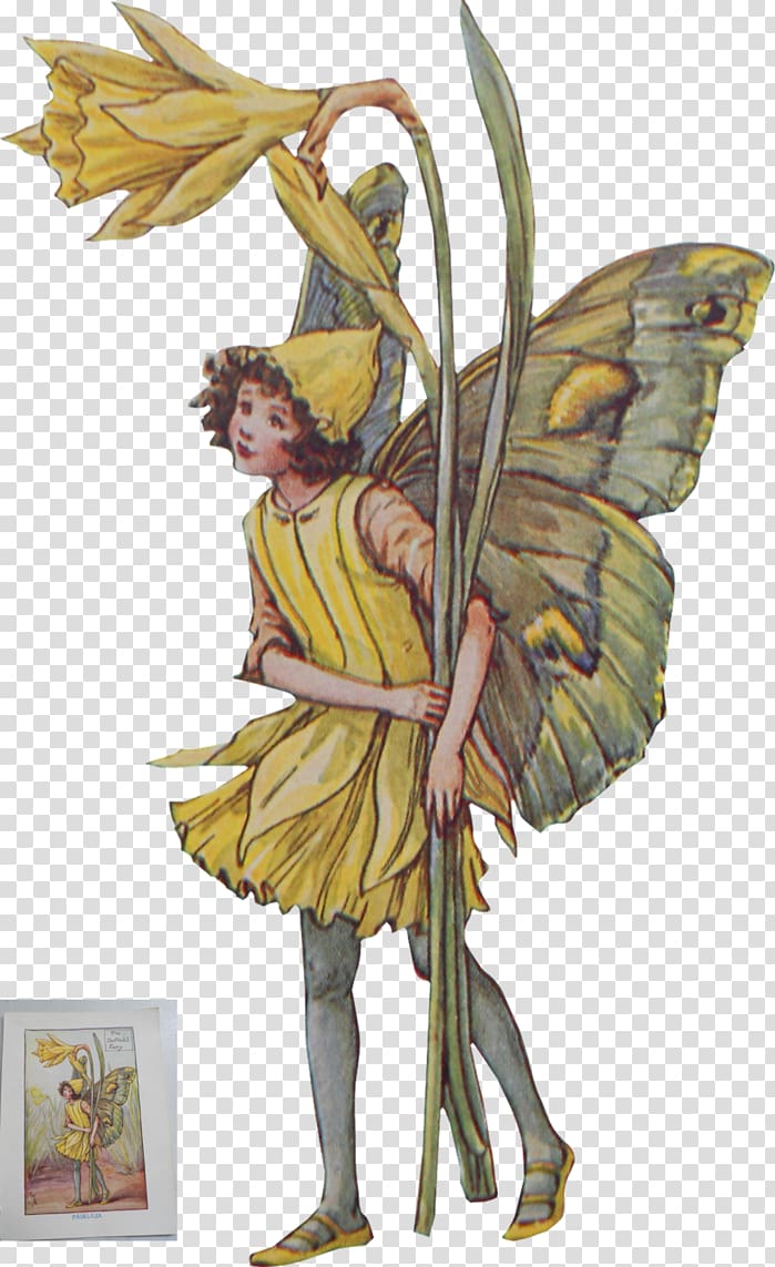 A Flower Fairy Alphabet The book of the flower fairies The Flower Fairies Complete Collection Flower Fairies Library: Flower Fairies of the Trees, Fairy transparent background PNG clipart