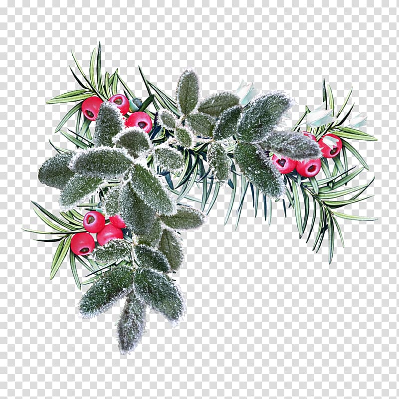 Flower Winter Christmas, k transparent background PNG clipart