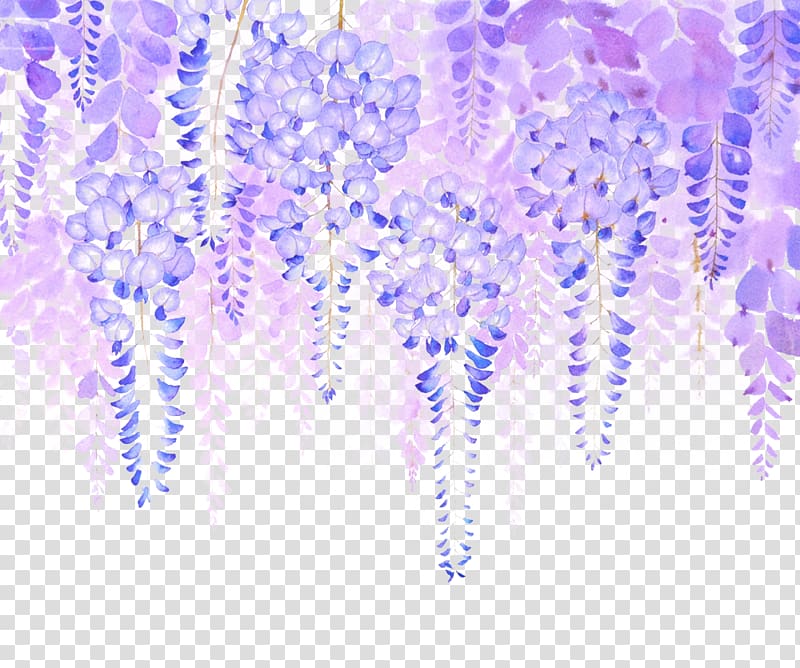 wisteria flowers material transparent background PNG clipart