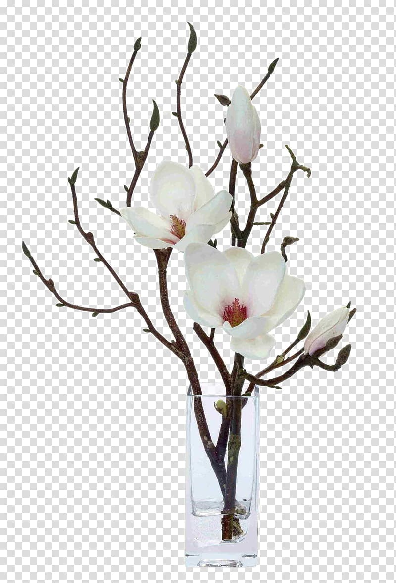 white flowers, Magnolia Artificial flower Floral design Floristry, White flower flowers floral decoration software installed transparent background PNG clipart