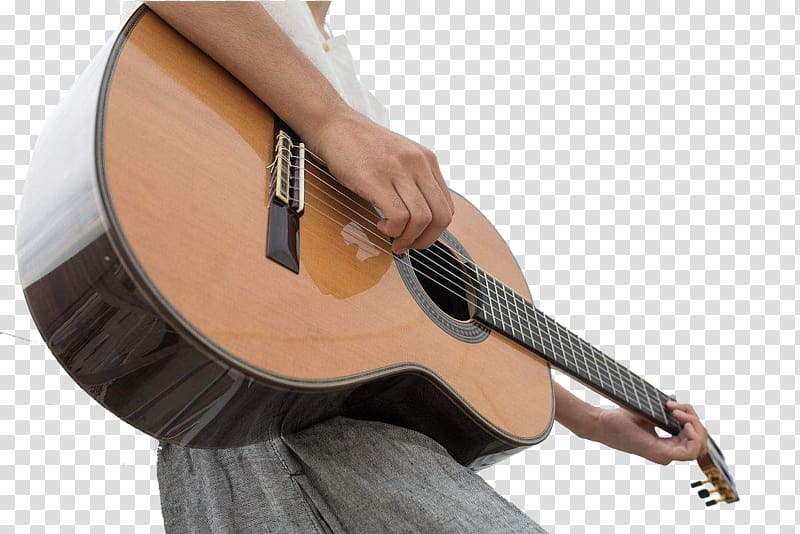 Acoustic guitar Ukulele Tiple Guitarist, Guitar player transparent background PNG clipart
