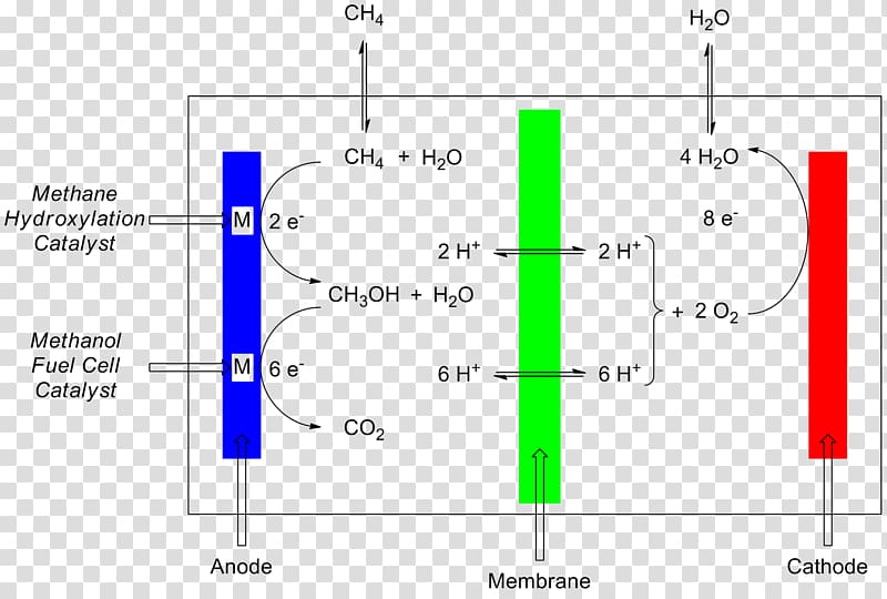 Fuel Cells Microbial fuel cell Proton-exchange membrane fuel cell Alkaline fuel cell, others transparent background PNG clipart
