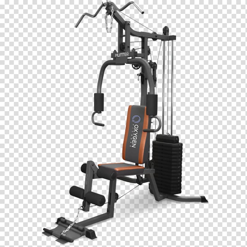 Exercise machine Artikel Price Human back Leg extension, Hunter X transparent background PNG clipart