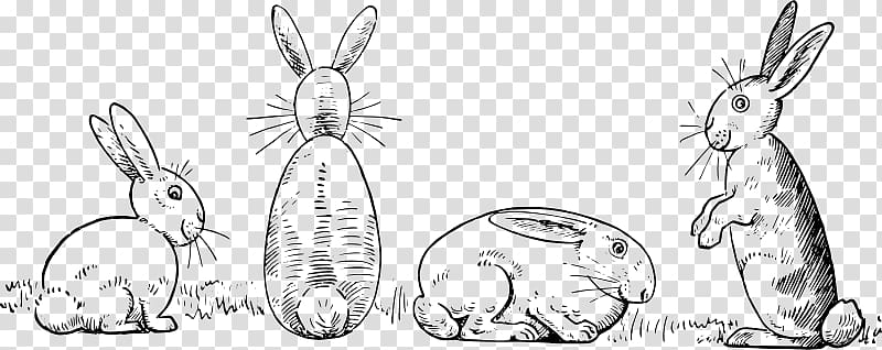 Domestic rabbit Hare Drawing Sketch, Rabbit black transparent background PNG clipart