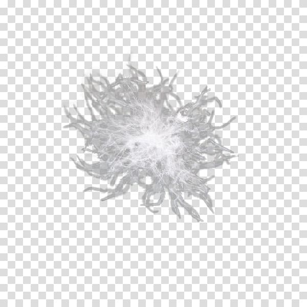 White , A feather transparent background PNG clipart