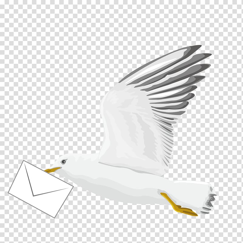 Bird Euclidean , Pattern Flying Pigeon Pigeon transparent background PNG clipart