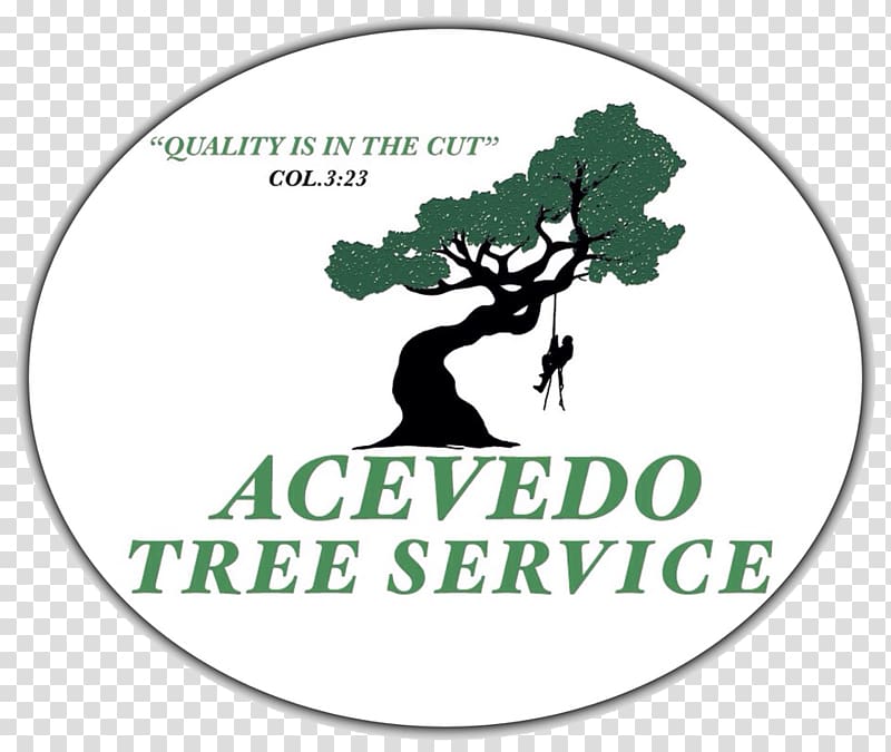 Seven King\'s Expert Tree Service & Stump Grinding Tree stump Arborist Stump grinder, tree transparent background PNG clipart