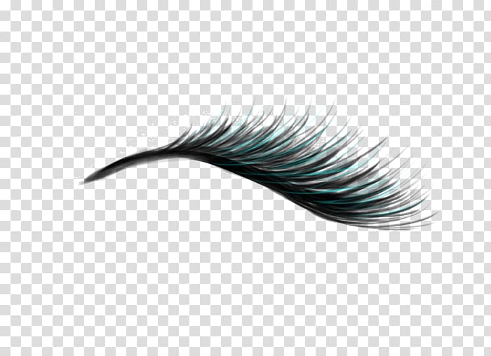 Eyelash extensions Artificial hair integrations, others transparent background PNG clipart