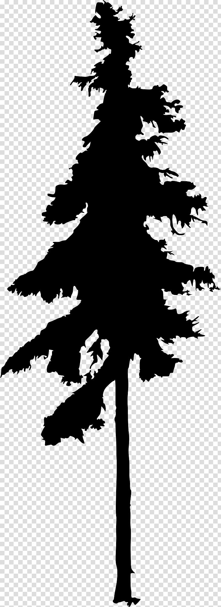 Fir Tree Drawing Silhouette Conifers, Silhouette transparent background PNG clipart