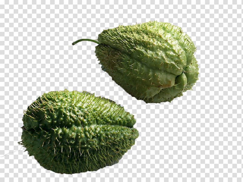 Cucurbita Chayote Melon, Two thorny furry catfish transparent background PNG clipart