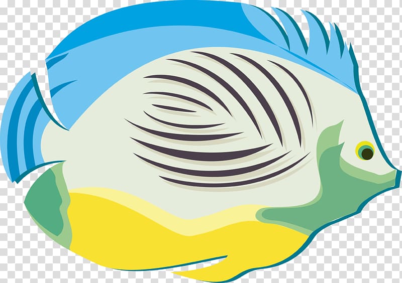 Fish Poster, Color fish transparent background PNG clipart
