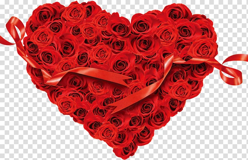 Heart Rose Flower Red, Love Rose red ribbon transparent background PNG ...