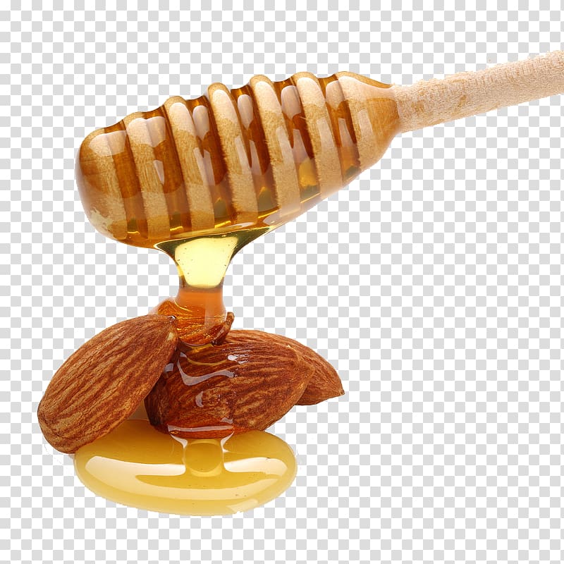 Bee Honey Ingredient Almond biscuit Turrxf3n, Honey Creative transparent background PNG clipart