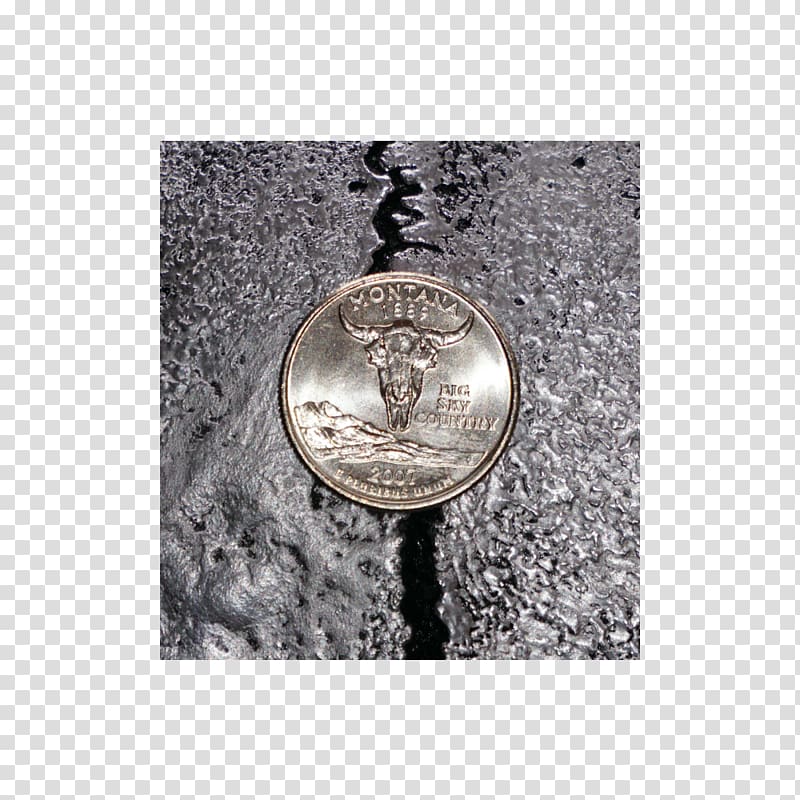 Silver Bison Bronze Montrail Gold, silver transparent background PNG clipart