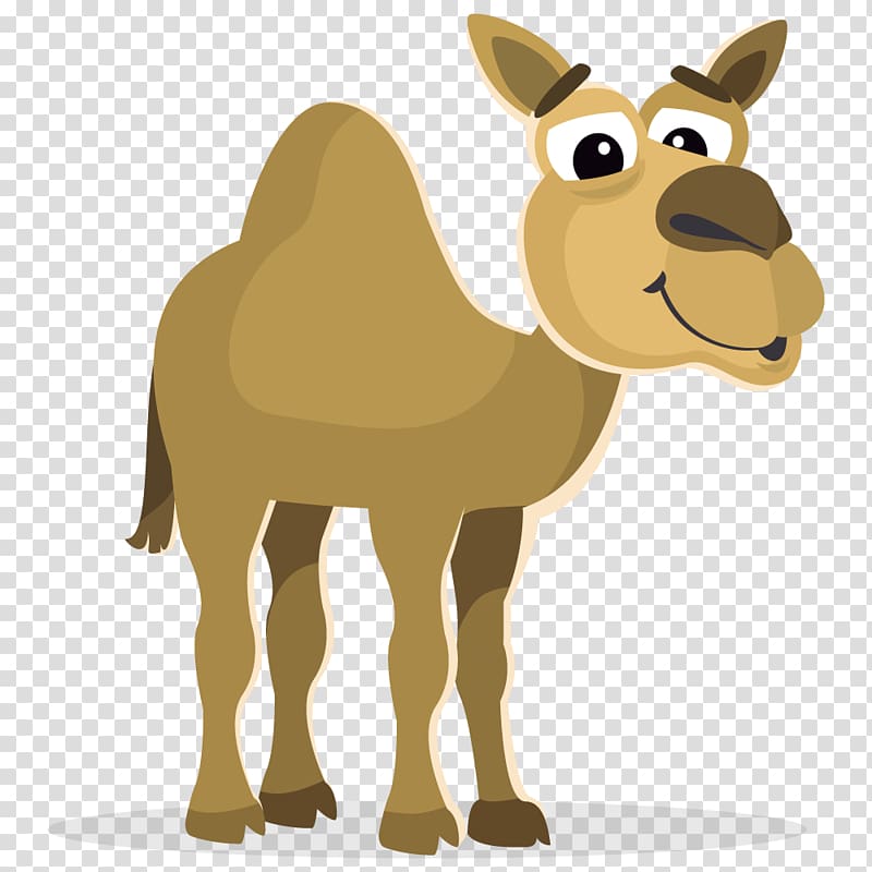 Camel , Moroccan Camel transparent background PNG clipart