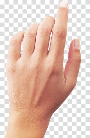 Hand Shape PNG Transparent Images Free Download