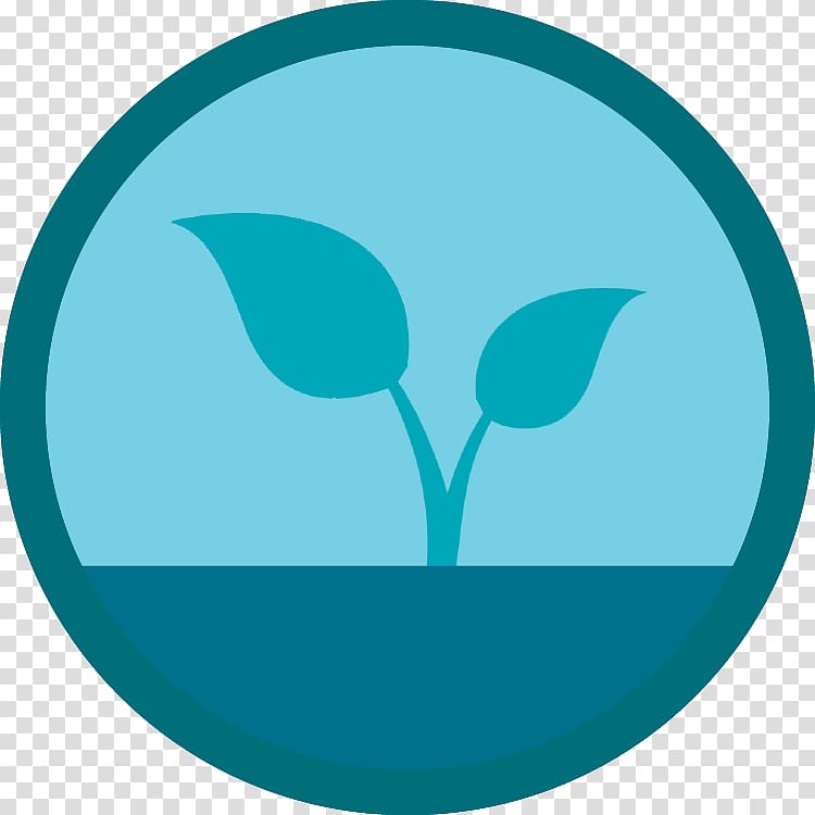 Marine mammal Line Logo , line transparent background PNG clipart Marine mammal Line Logo , line transparent background PNG clipart