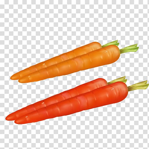 Baby carrot Vegetable, Carrot material transparent background PNG clipart