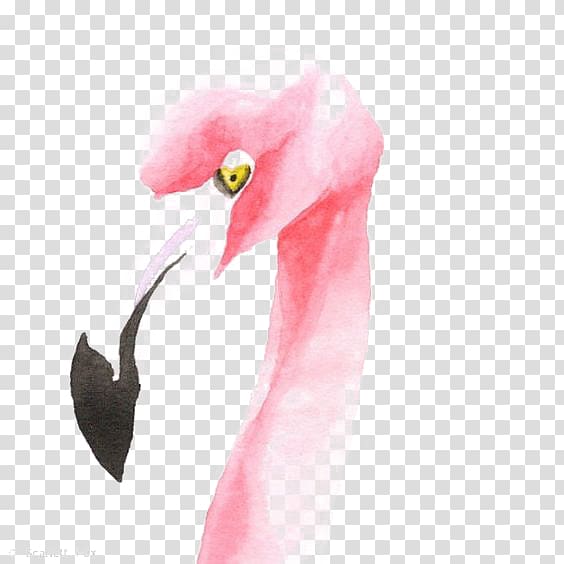 Flamingo Drawing Watercolor painting Illustration, Flamingos transparent background PNG clipart