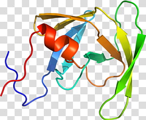 Line Point , line transparent background PNG clipart thumbnail