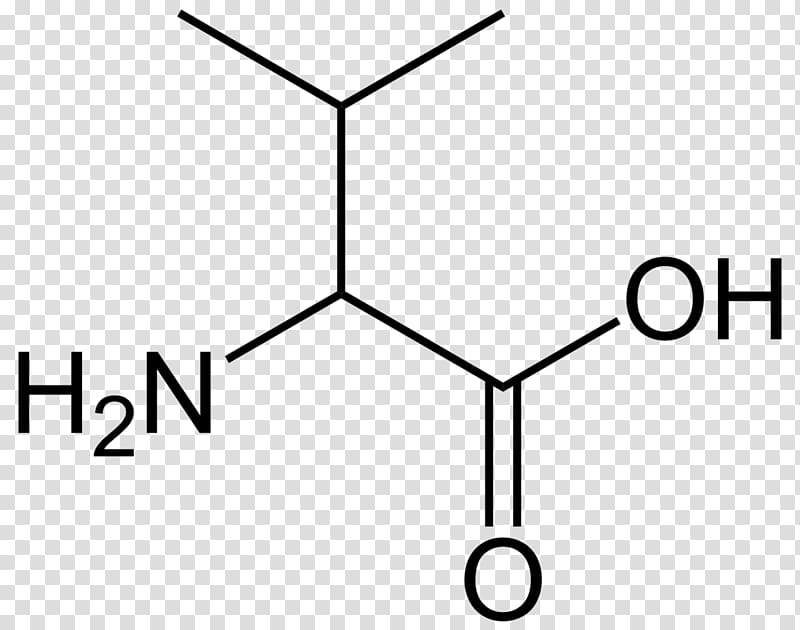 Alanine Amino acid Aspartic acid Proline Cysteine, simple transparent background PNG clipart