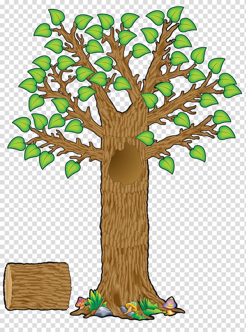 Bulletin board Tree Teacher Education Student, the tree with four seasons transparent background PNG clipart