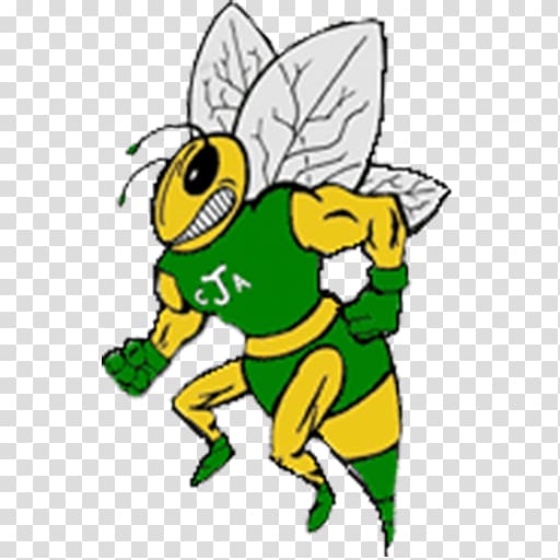 Charlotte Hornets National Secondary School Junior varsity team Insect, others transparent background PNG clipart