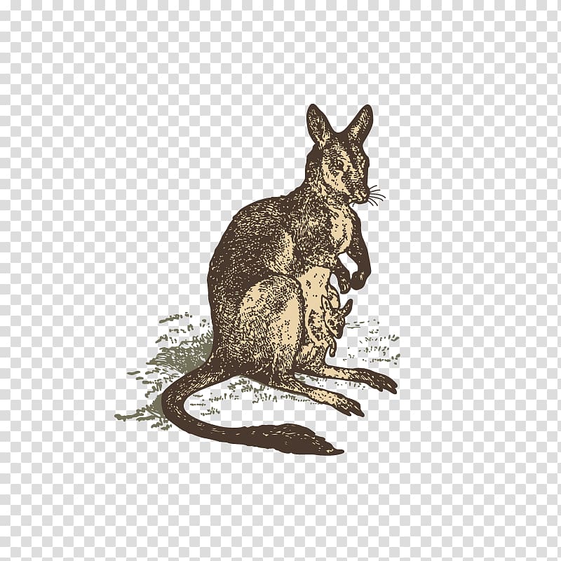 Domestic rabbit Kangaroo Animal Drawing, Hand-painted Kangaroo transparent background PNG clipart