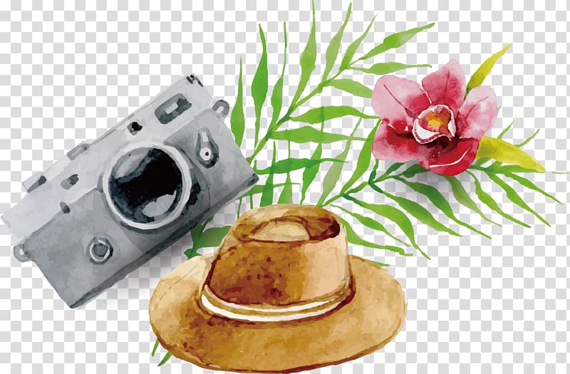 gray camera and brown hat with flower , Camera Poster, Hat camera travel poster flowers background material transparent background PNG clipart