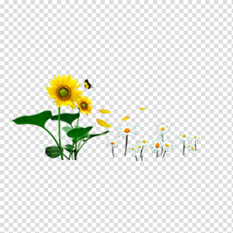 Butterfly Common sunflower Icon, Sunflower and wild chrysanthemum transparent background PNG clipart