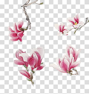 Pink Watercolor painting Flower, Hand painted watercolor pink floral decoration pattern transparent background PNG clipart thumbnail