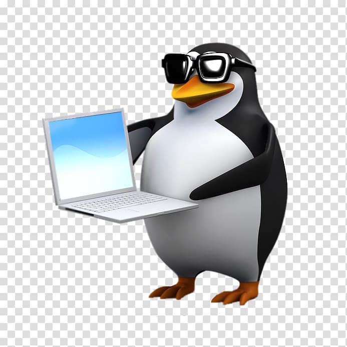 Penguin , Penguin transparent background PNG clipart