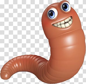 Worms transparent background PNG clipart