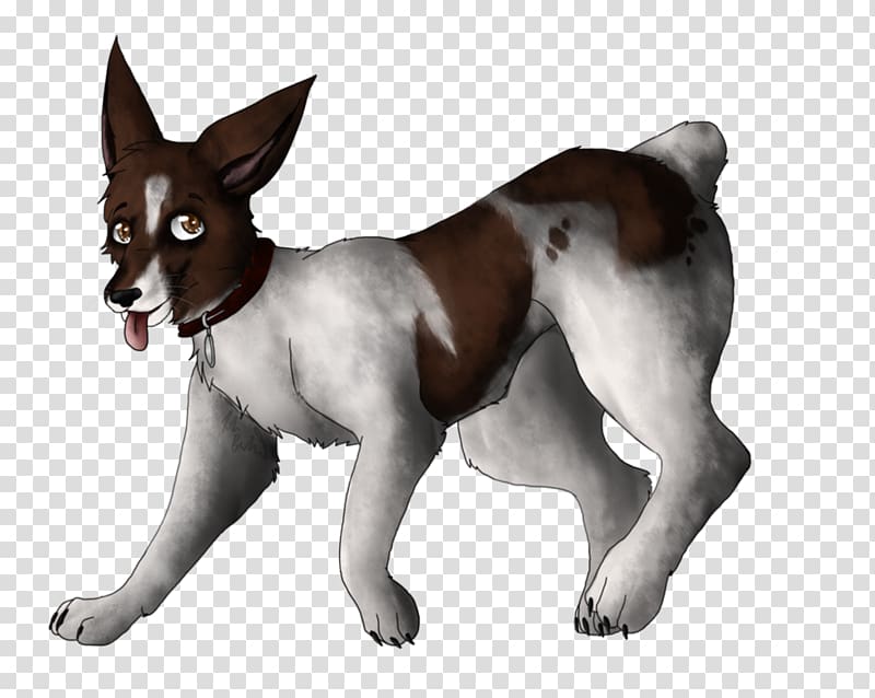 Dog breed Toy Fox Terrier, pipper transparent background PNG clipart