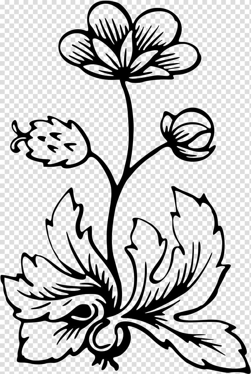 Flower Flora , barbwire transparent background PNG clipart