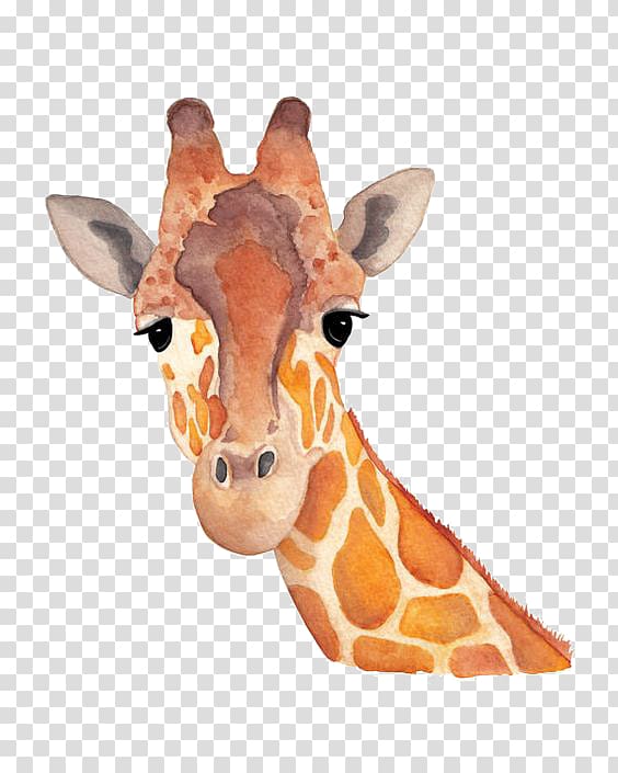 Northern giraffe Watercolor painting Art Drawing, Hand-painted giraffe transparent background PNG clipart