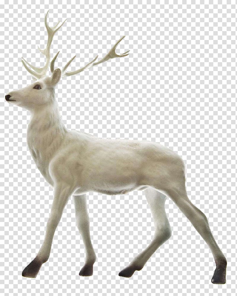 white deer , Rudolph Reindeer Santa Claus Christmas, A white deer transparent background PNG clipart